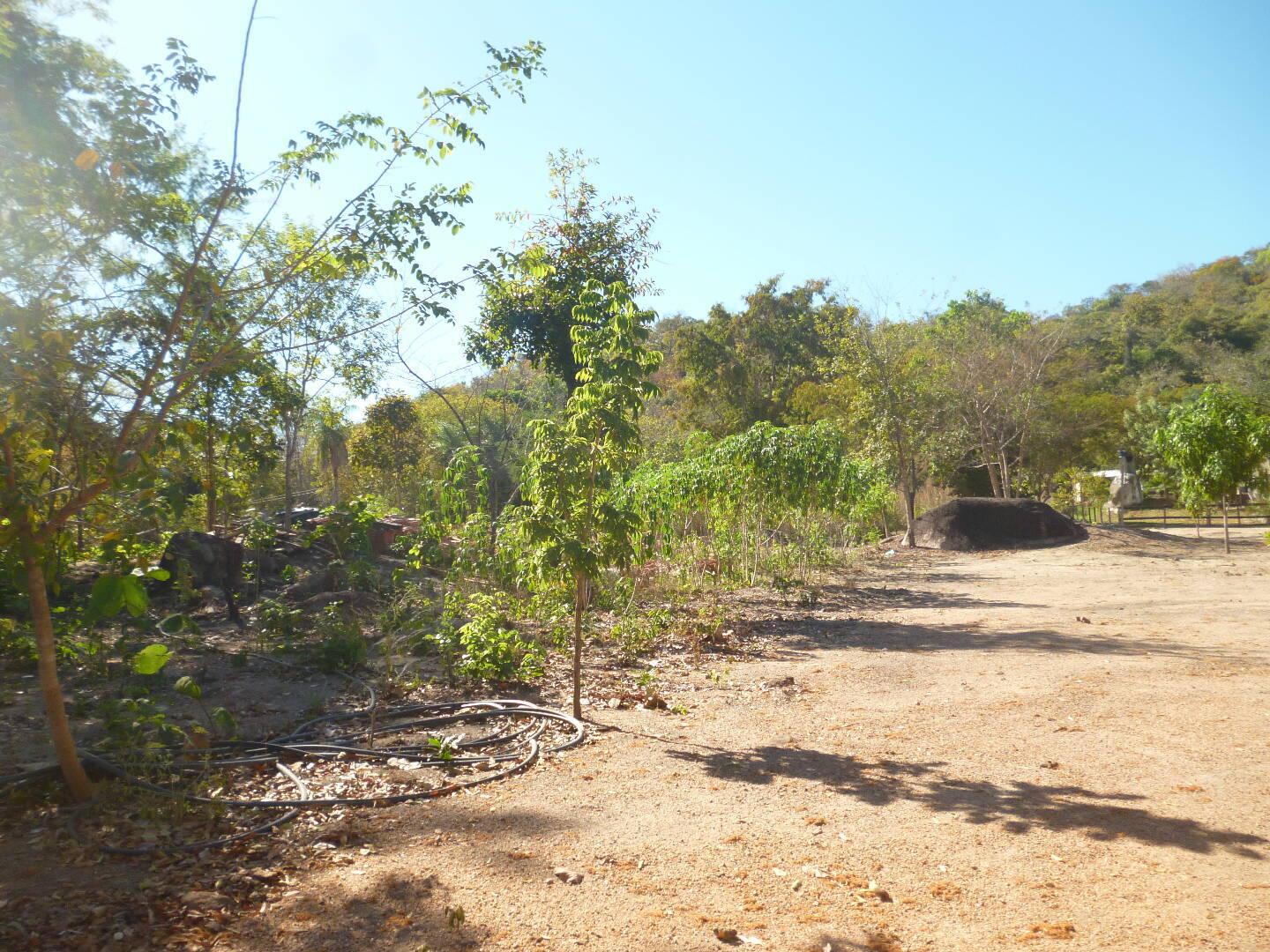 Terreno - Foto 3