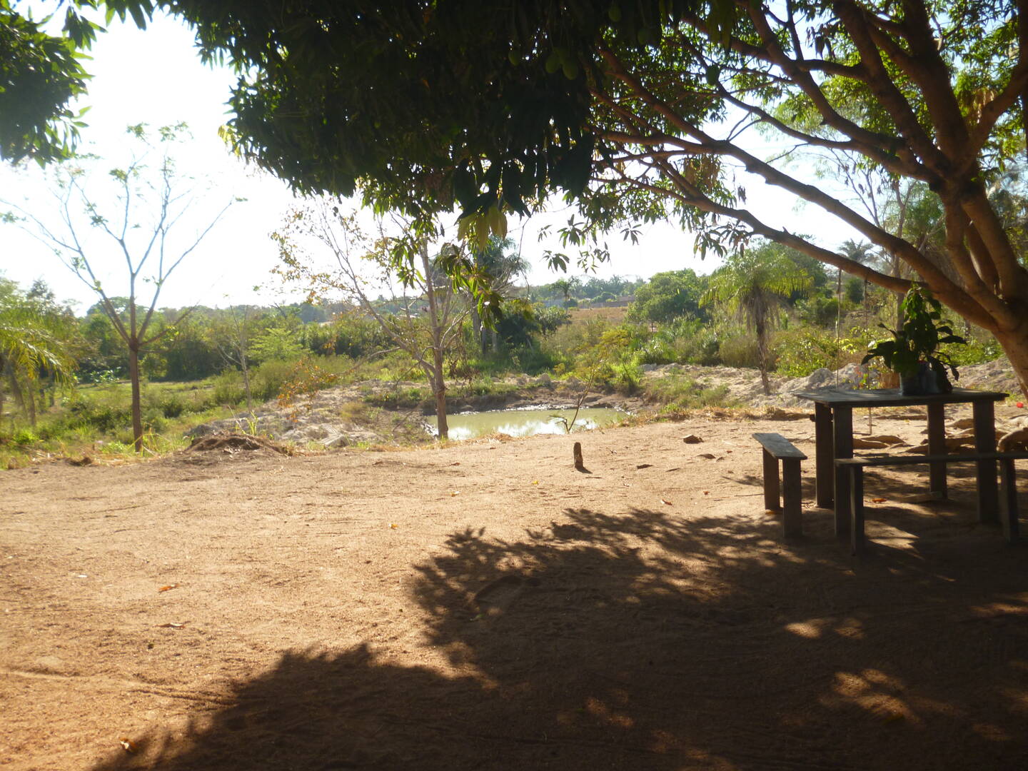 Chácara à venda com 3 quartos, 60170m² - Foto 1