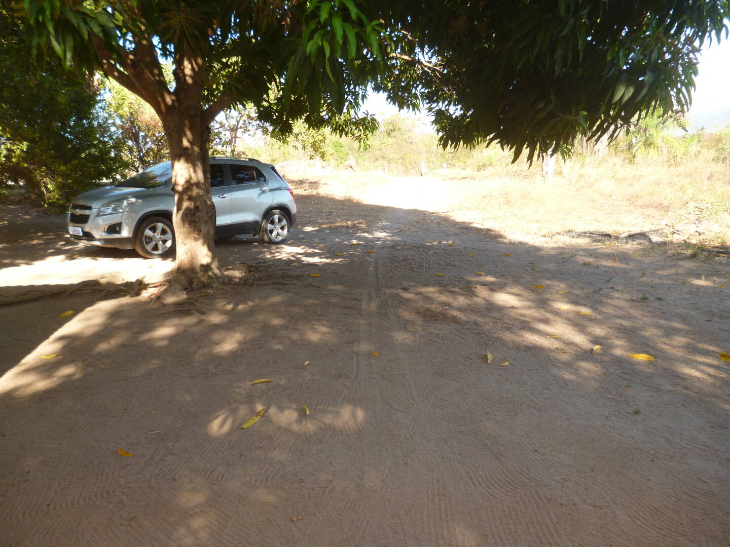 Chácara à venda com 3 quartos, 60170m² - Foto 13