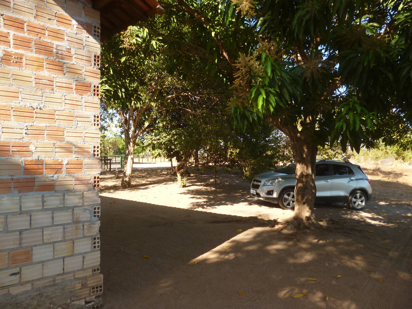 Chácara à venda com 3 quartos, 60170m² - Foto 14
